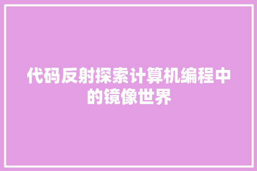 代码反射探索计算机编程中的镜像世界
