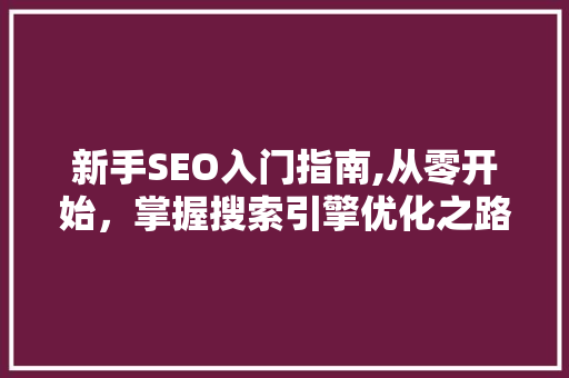 新手SEO入门指南,从零开始，掌握搜索引擎优化之路