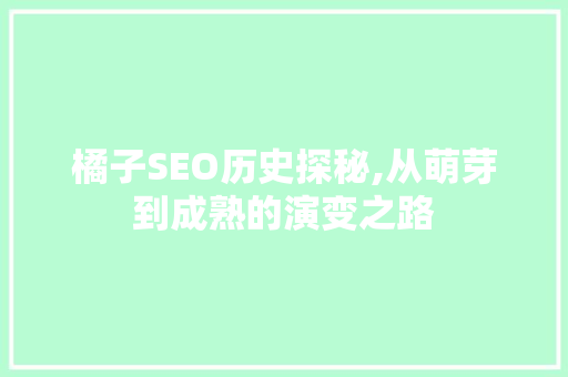 橘子SEO历史探秘,从萌芽到成熟的演变之路