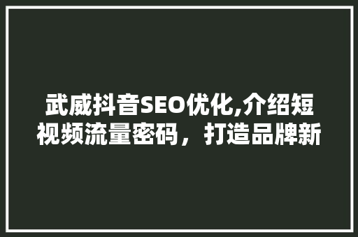 武威抖音SEO优化,介绍短视频流量密码，打造品牌新高度