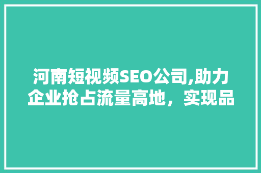 河南短视频SEO公司,助力企业抢占流量高地，实现品牌腾飞