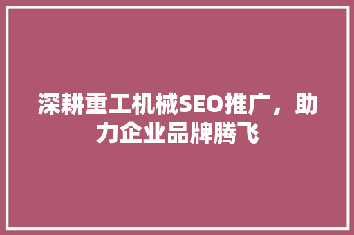 深耕重工机械SEO推广，助力企业品牌腾飞