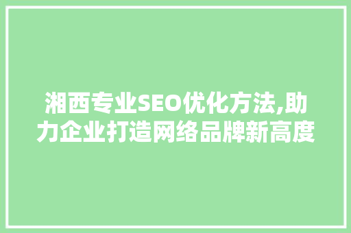湘西专业SEO优化方法,助力企业打造网络品牌新高度