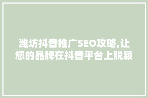 潍坊抖音推广SEO攻略,让您的品牌在抖音平台上脱颖而出
