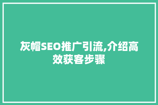 灰帽SEO推广引流,介绍高效获客步骤