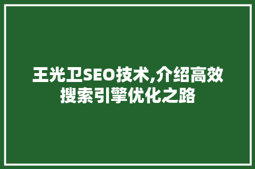 王光卫SEO技术,介绍高效搜索引擎优化之路
