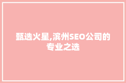 甄选火星,滨州SEO公司的专业之选