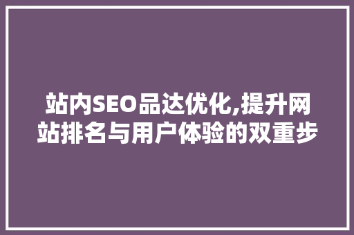 站内SEO品达优化,提升网站排名与用户体验的双重步骤