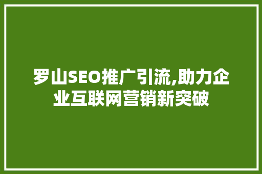 罗山SEO推广引流,助力企业互联网营销新突破