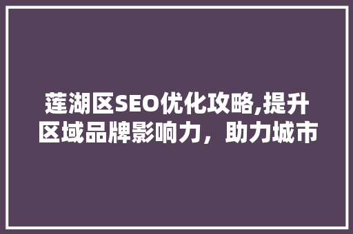 莲湖区SEO优化攻略,提升区域品牌影响力，助力城市发展