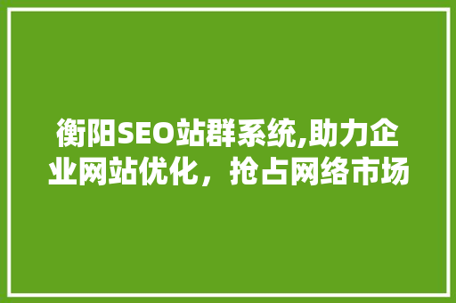 衡阳SEO站群系统,助力企业网站优化，抢占网络市场制高点