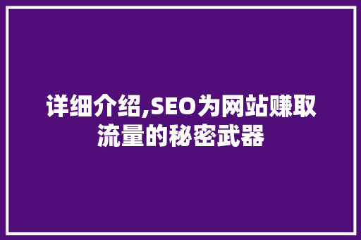 详细介绍,SEO为网站赚取流量的秘密武器