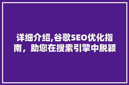 详细介绍,谷歌SEO优化指南，助您在搜索引擎中脱颖而出