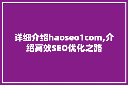 详细介绍haoseo1com,介绍高效SEO优化之路