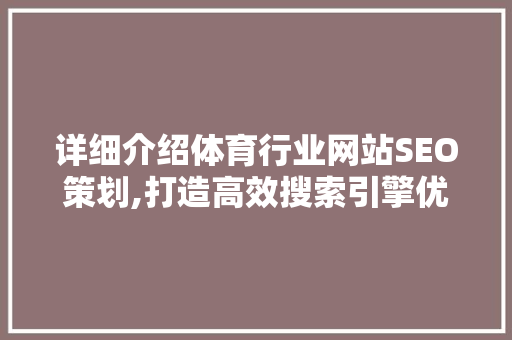 详细介绍体育行业网站SEO策划,打造高效搜索引擎优化步骤