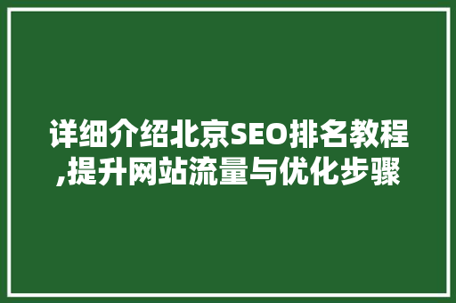 详细介绍北京SEO排名教程,提升网站流量与优化步骤