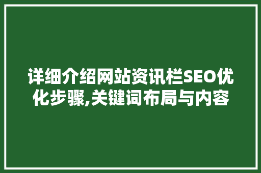 详细介绍网站资讯栏SEO优化步骤,关键词布局与内容质量并重
