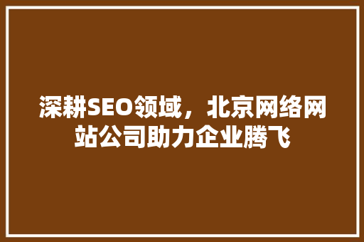 深耕SEO领域，北京网络网站公司助力企业腾飞