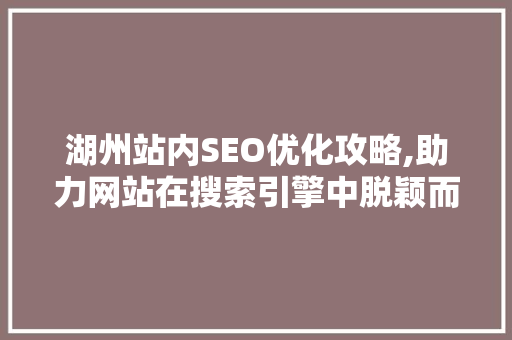 湖州站内SEO优化攻略,助力网站在搜索引擎中脱颖而出