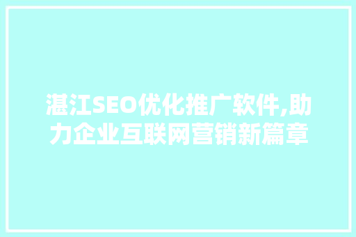 湛江SEO优化推广软件,助力企业互联网营销新篇章