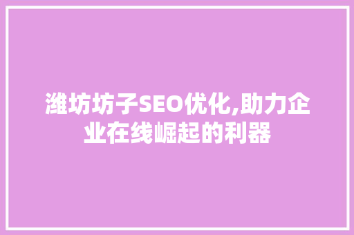 潍坊坊子SEO优化,助力企业在线崛起的利器