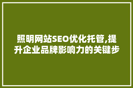 照明网站SEO优化托管,提升企业品牌影响力的关键步骤