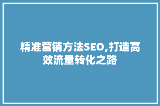 精准营销方法SEO,打造高效流量转化之路