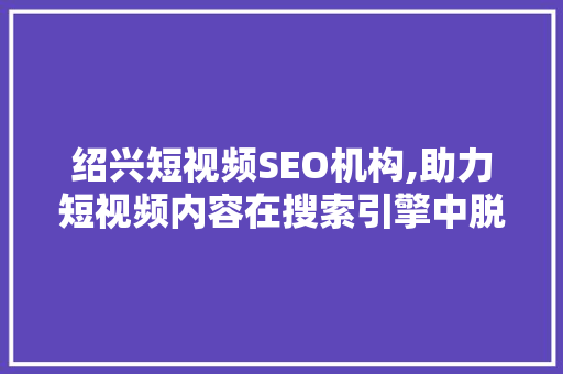 绍兴短视频SEO机构,助力短视频内容在搜索引擎中脱颖而出