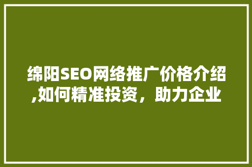 绵阳SEO网络推广价格介绍,如何精准投资，助力企业腾飞