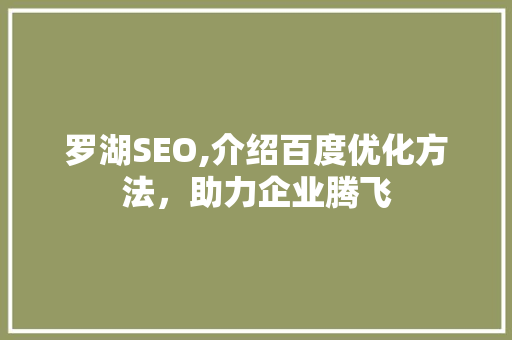 罗湖SEO,介绍百度优化方法，助力企业腾飞