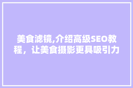 美食滤镜,介绍高级SEO教程，让美食摄影更具吸引力