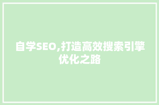自学SEO,打造高效搜索引擎优化之路