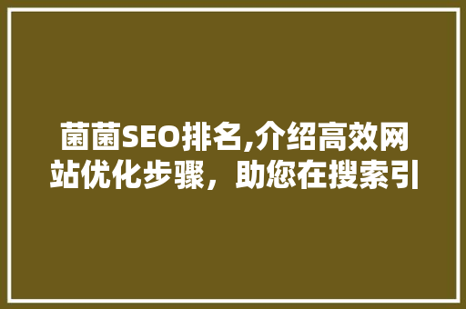 菌菌SEO排名,介绍高效网站优化步骤，助您在搜索引擎中脱颖而出