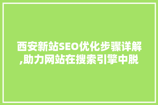 西安新站SEO优化步骤详解,助力网站在搜索引擎中脱颖而出