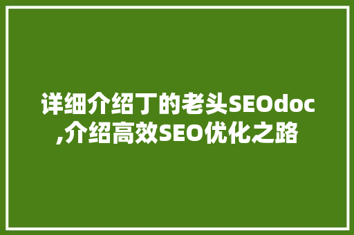详细介绍丁的老头SEOdoc,介绍高效SEO优化之路