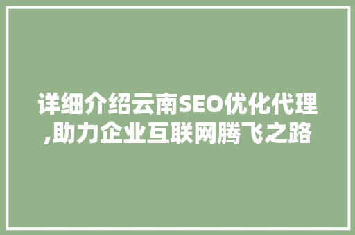 详细介绍云南SEO优化代理,助力企业互联网腾飞之路