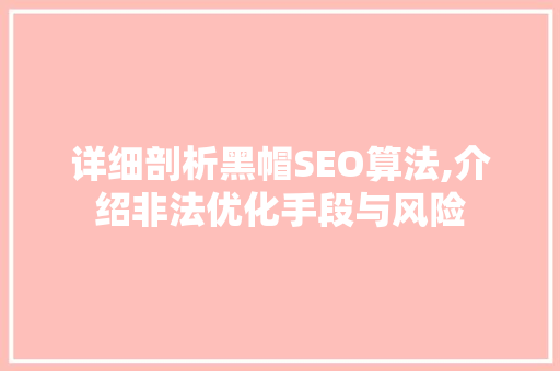 详细剖析黑帽SEO算法,介绍非法优化手段与风险