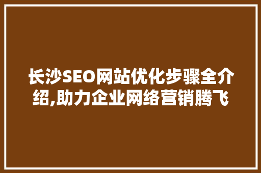长沙SEO网站优化步骤全介绍,助力企业网络营销腾飞