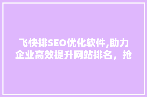 飞快排SEO优化软件,助力企业高效提升网站排名，抢占互联网市场先机
