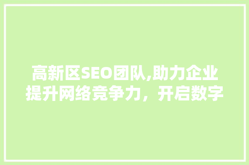 高新区SEO团队,助力企业提升网络竞争力，开启数字营销新时代