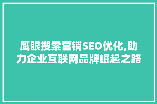 鹰眼搜索营销SEO优化,助力企业互联网品牌崛起之路
