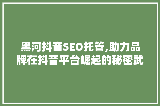 黑河抖音SEO托管,助力品牌在抖音平台崛起的秘密武器
