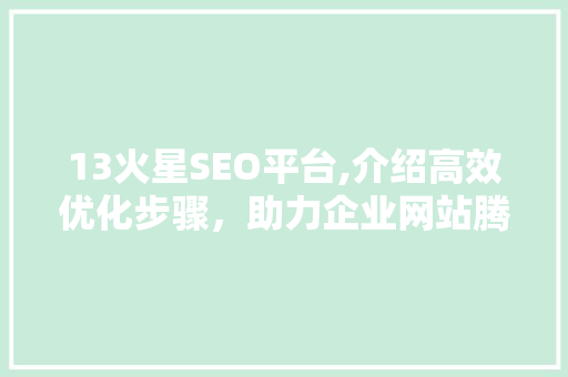 13火星SEO平台,介绍高效优化步骤，助力企业网站腾飞