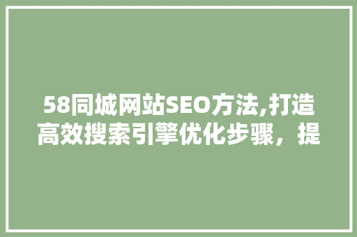 58同城网站SEO方法,打造高效搜索引擎优化步骤，提升网站流量与转化率