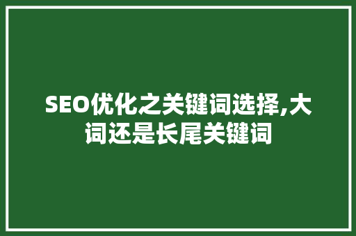 SEO优化之关键词选择,大词还是长尾关键词
