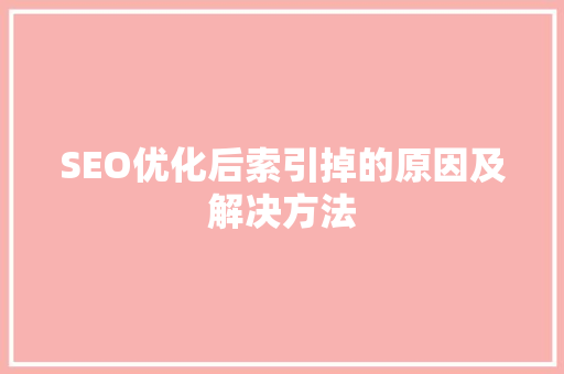 SEO优化后索引掉的原因及解决方法