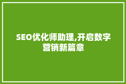 SEO优化师助理,开启数字营销新篇章