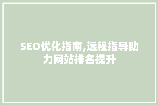 SEO优化指南,远程指导助力网站排名提升