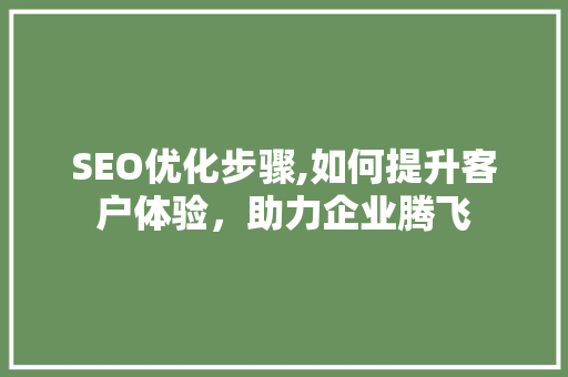 SEO优化步骤,如何提升客户体验，助力企业腾飞