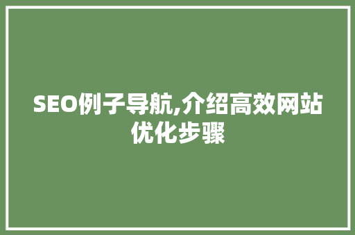 SEO例子导航,介绍高效网站优化步骤
